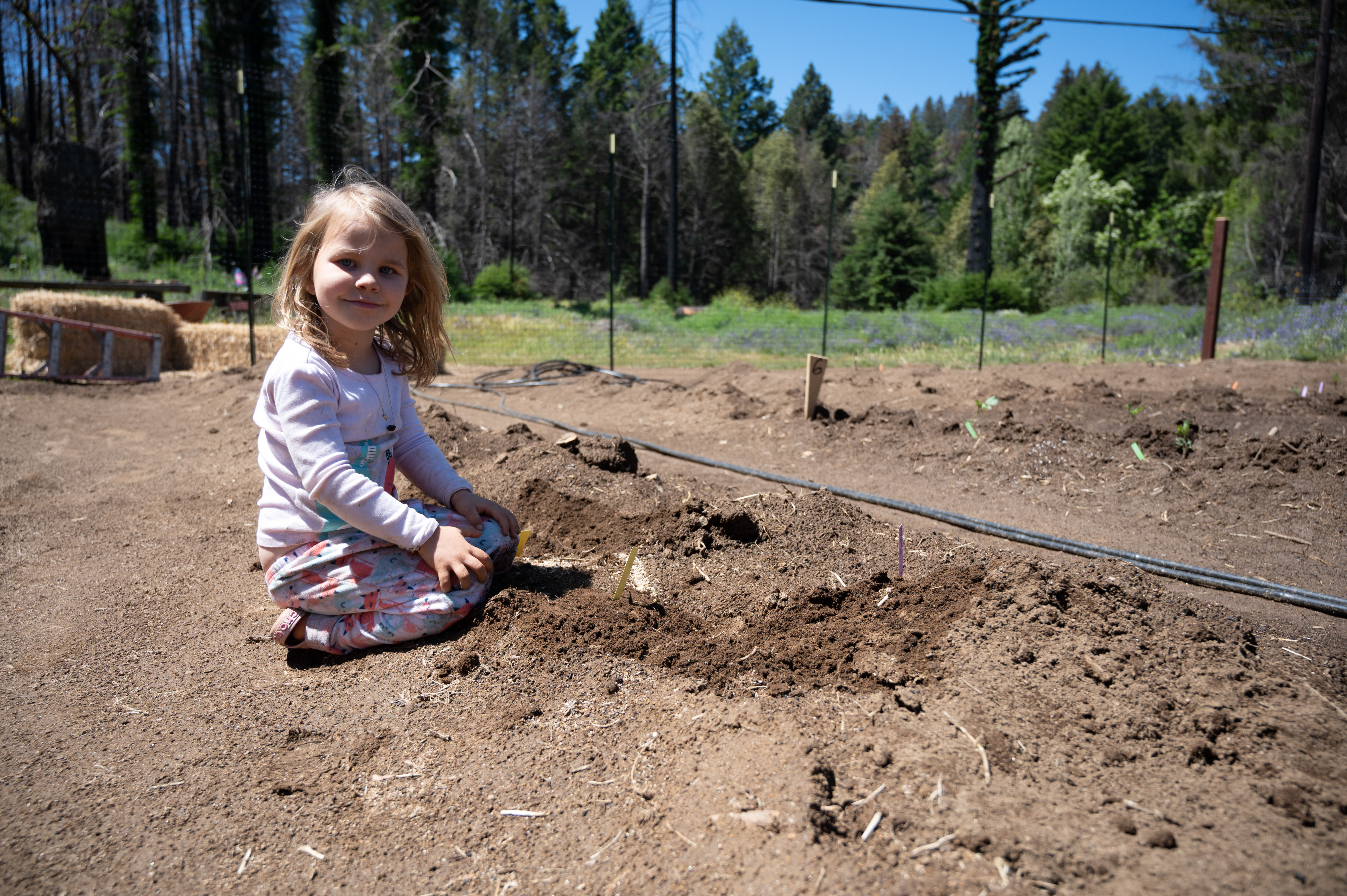 Support Beeline Blooms 2023